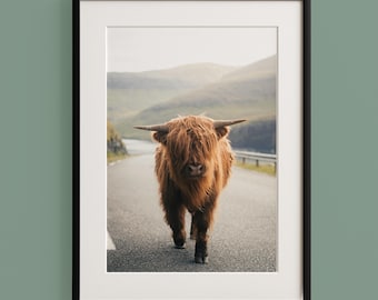 Highland Cow Wall Art – Rustic Farmhouse Animal Print – Scottish Highland Cattle Photo – Neutral Country Decor – Boho Western Poster