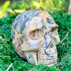May include: A carved stone skull with a detailed design. The skull features a mix of beige, gray, and brown colors. The skull is resting on a bed of green moss, creating a natural contrast.