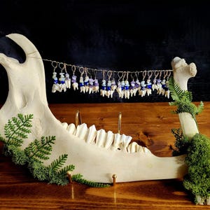 Teeth of the Roe Deer Earrings