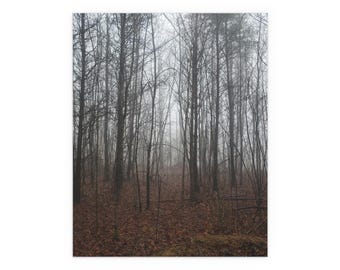 Embrace The Fog Silk Poster, Forest Print for Home Decor, Wall Art for Nature Lovers, Indoor and Outdoor Poster, Aesthetic Room Decoration