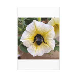 Impressão de arte em tela floral, decoração de parede com abelhas em flores, arte da natureza para casa, presente para amantes de jardins, parede de galeria