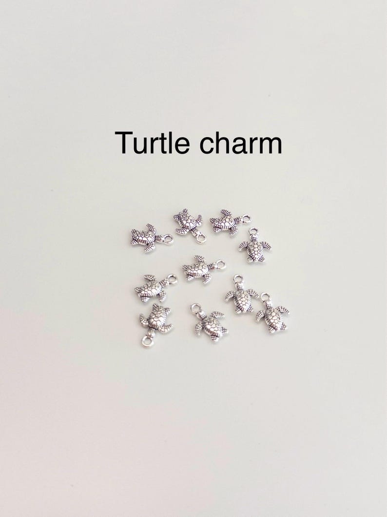 Peut inclure: Un ensemble de neuf petites breloques en m&eacute;tal argent&eacute; en forme de tortue, chacune pr&eacute;sentant des motifs de carapace d&eacute;taill&eacute;s et une petite boucle sur le dessus. Le texte 'Turtle charm' est imprim&eacute; en noir au-dessus du groupe.