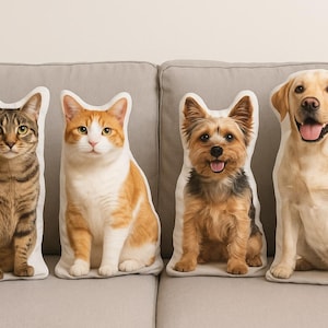 May include: Four pet-shaped throw pillows. A tabby cat, an orange and white cat, a Yorkshire Terrier, and a yellow Labrador Retriever are displayed. The pillows are on a gray couch.