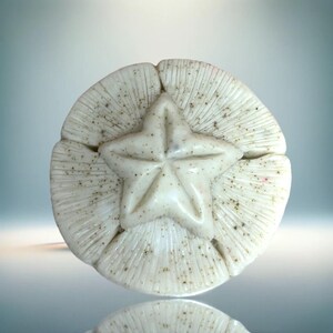 May include: A white, circular decorative object with a raised starfish design in the center. The object has a textured surface with small dark speckles and radial lines emanating from the center. The object is likely made of stone or ceramic.