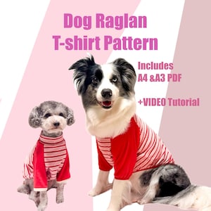 Puede incluir: Imagen de dos perros con camisetas raglán a rayas rojas y blancas. La imagen incluye el texto "Dog Raglan T-shirt Pattern" y "Includes A4 & A3 PDF + VIDEO Tutorial" sobre un fondo rosa.