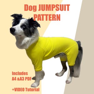 Könnte beinhalten: Ein schwarz-weißer Hund trägt einen leuchtend gelben Overall. Der Text "Dog JUMPSUIT PATTERN" steht oben, und "Includes A4 & A3 PDF +VIDEO Tutorial" ist unten in orangefarbener Schrift auf hellem Hintergrund gedruckt.