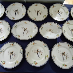 80-Piece Vintage Theodore Haviland Limoges Birds of Paradise Collection
