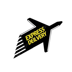 May include: A black and yellow graphic of an airplane with the words "EXPRESS DEILVERY" in yellow text. The airplane graphic is angled to the right, with white lines on the left side.