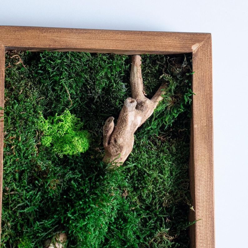Rustic Moss and Bonsai Wood Wall Art, Vertical Wooden Frame Moss Wall ...