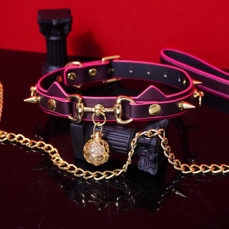 Pu&ograve; includere: Un collare nero e rosa con dettagli dorati, tra cui borchie e un ciondolo decorativo. Il collare &egrave; abbinato a un guinzaglio coordinato e a una catena dorata. Lo sfondo &egrave; rosso scuro.