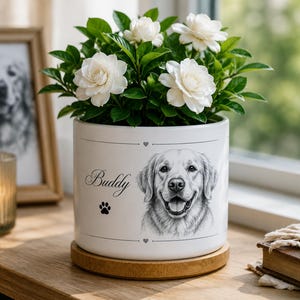 May include: A white ceramic planter with a wooden base containing a gardenia plant with white flowers and green leaves. The planter features a black and white sketch of a golden retriever, the name Buddy, a paw print, and small heart icons.