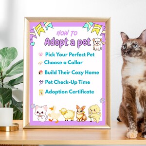May include: A framed poster with the text "HOW TO Adopt a pet" and steps for pet adoption. The poster has a light purple background with cartoon animal illustrations. A tortoiseshell cat sits to the right of the poster.