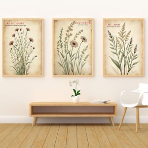 K&ouml;nnte beinhalten: Drei gerahmte botanische Drucke mit floralen Illustrationen in ged&auml;mpften T&ouml;nen. Jeder Druck zeigt japanischen Text und englische &Uuml;bersetzungen. Die Drucke werden &uuml;ber einem Holzkonsolentisch mit einer wei&szlig;en Orchidee und einem modernen wei&szlig;en Stuhl ausgestellt.