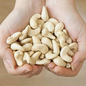 Organic Raw Cashew Nuts – Jumbo Size, Fresh & Handpicked | Vegan Snack | Non-GMO, Gluten-Free Snack