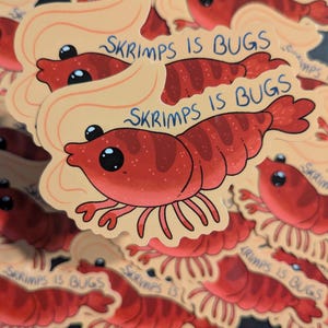 May include: A pile of stickers with a cartoon shrimp illustration. The shrimp is red with black eyes and a light tan background. The text "SKRIMPS IS BUGS" is written in blue. The stickers are scattered on a dark surface.