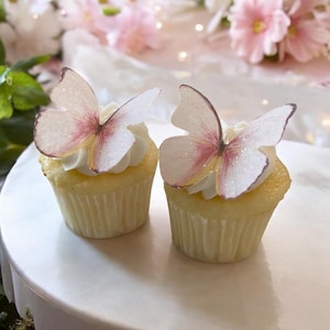24pcs Pink Edible Butterfly Cake Toppers, Edible Wafer Paper Butterflies, Edible Cupcake Toppers, Birthday Cake Toppers, Bridal Cupcakes