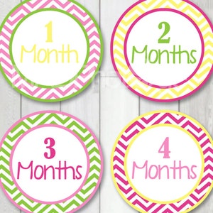 Baby Girl Month Stickers, Instant Download, Monthly Baby Stickers, Baby Milestone Stickers, 1st Year Baby Stickers, Newborn Stickers