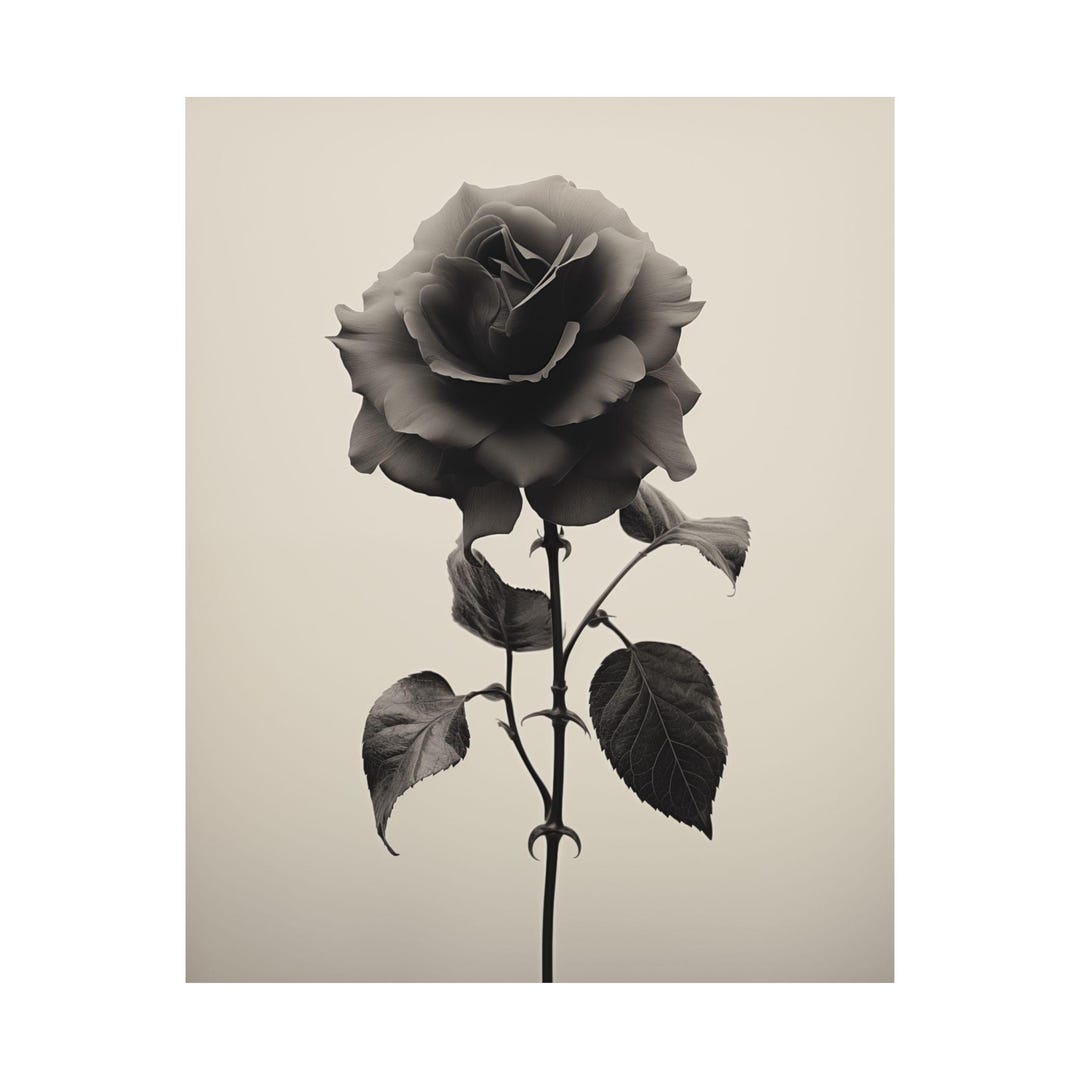 Black and White Rose Wall Art Poster | Minimalist Floral Fine Art Print ...