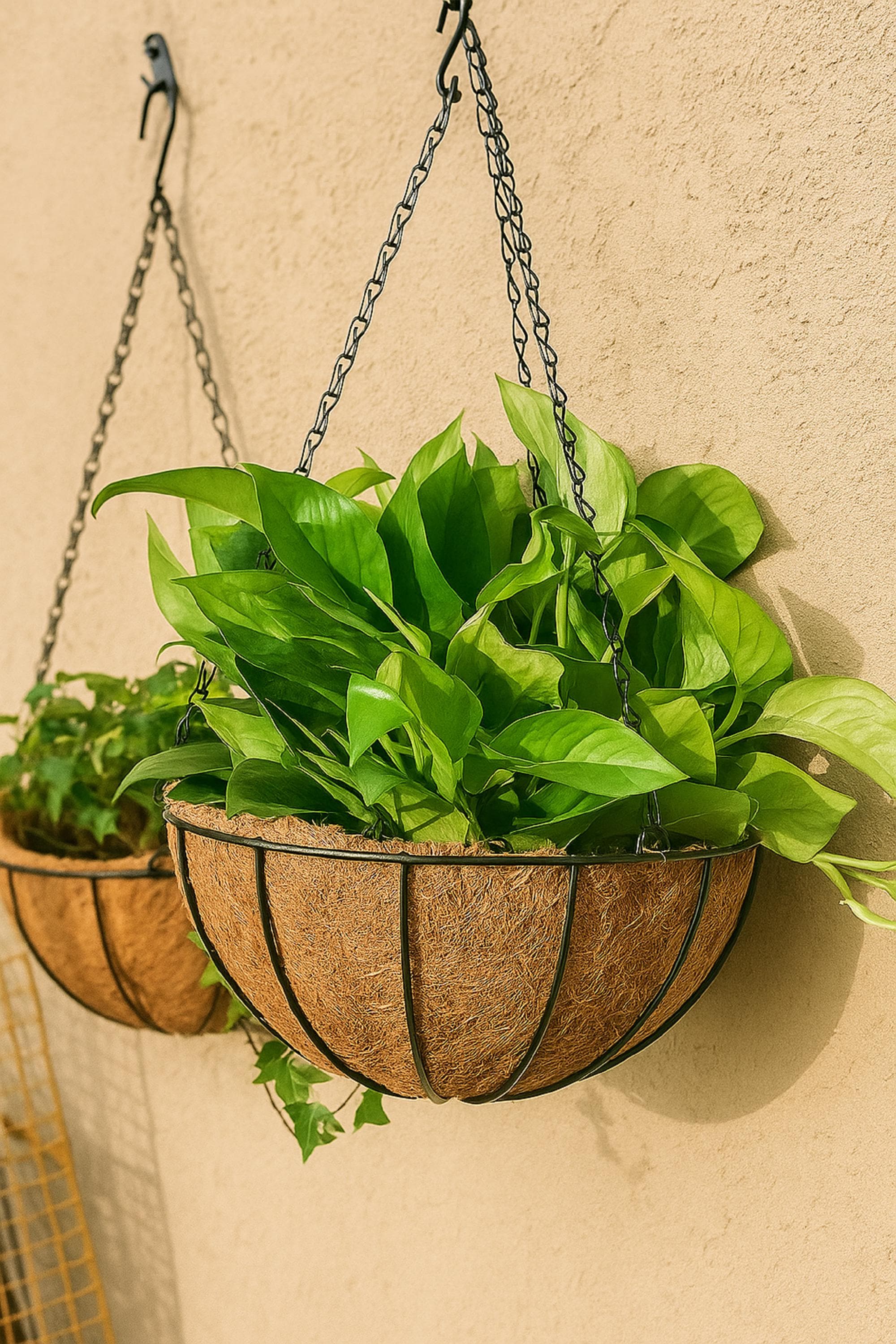 Cesti Di Fiori Sospesi 2 Pz In Polyrattan Grigio VidaXL - Foto 10