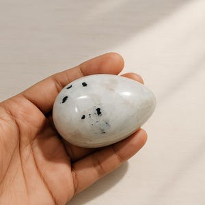 Può includere: Una pietra di luna lucidata a forma di uovo, con una base bianca perlacea e inclusioni nere sparse. La pietra è liscia e lucida, riflettendo la luce. La gemma è tenuta in una mano, mostrando la sua bellezza naturale.