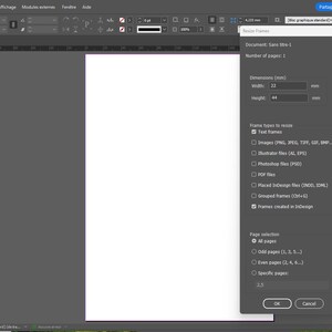 May include: A computer screen displays a software interface with a pop-up window. The window shows document settings, including dimensions of 22 mm width and 44 mm height. The interface is set against a gray background.