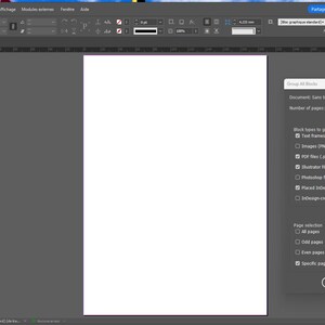 Op de afbeelding: Schermafbeelding van de Adobe Illustrator-interface met een wit document en een pop-upvenster met de titel "Alle blokken groeperen". Het venster toont documentdetails en opties voor pagina selectie.