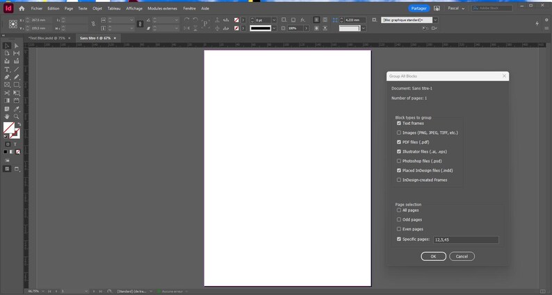 Op de afbeelding: Schermafbeelding van de Adobe Illustrator-interface met een wit document en een pop-upvenster met de titel "Alle blokken groeperen". Het venster toont documentdetails en opties voor pagina selectie.