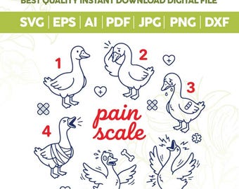 Escala de dolor Ganso Enfermera Svg Png, Diseño divertido de humor de enfermería svg, Trabajador de la salud svg, RN CNA Imágenes prediseñadas médicas, Archivos de corte Cricut