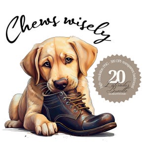 Könnte beinhalten: Ein goldener Labrador-Welpe, der auf einem braunen Lederstiefel kaut. Über dem Hund steht der Text "Chews wisely". Ein kreisförmiges Grafik-Element zeigt "20 Labrador Bundle".