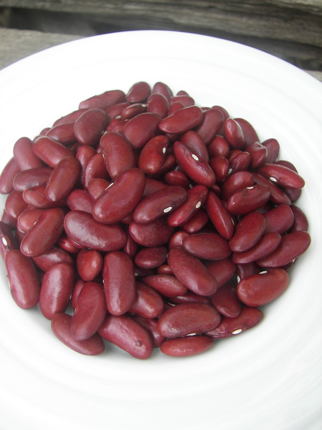 Kidney bean red one heirloom seeds from our organic Garden Etsy