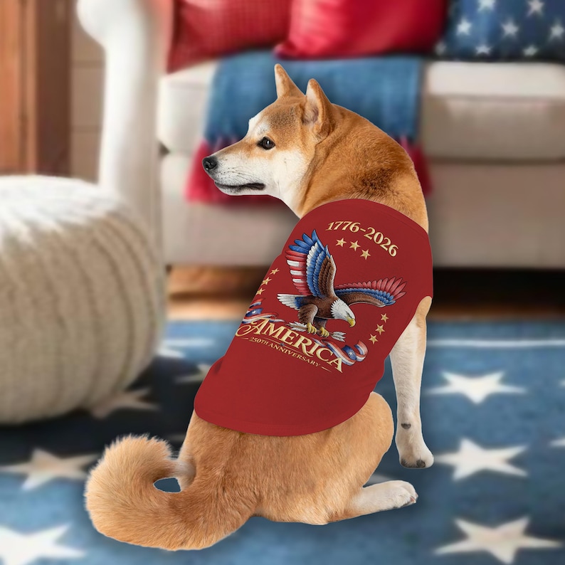 May include: A Shiba Inu dog wearing a red t-shirt with an American flag-themed design. The shirt features an eagle, the text "AMERICA 250th ANNIVERSARY" and the years "1776-2026". The dog is sitting on a blue carpet with white stars.