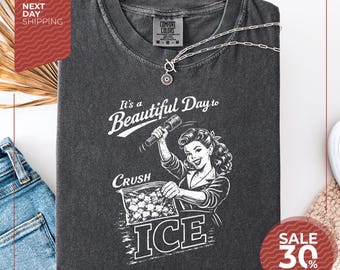 Comfort Colors® Anti Ice Shirt |  Political Protest Shirt | Social Justice Tee | Minneapolis Abolish Ice | FDT Shirt | Human Rights Shirt |