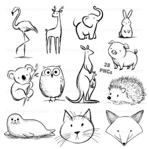 May include: A collection of black and white line drawings of animals such as a flamingo, deer, elephant, rabbit, koala, owl, kangaroo, pig, hedgehog, seal, cat, and fox. The text "28 PNGs" is also included.