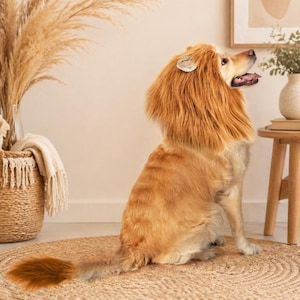 golden retriever dressed as lion SYGA Women's New Waist Chain Dress Suit Accessories Belt Chain Retro V –  Syga India main image 1
