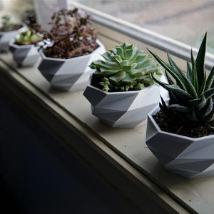 Low Poly Planter 3D Printing, Wide Top, Low-Poly Geometric Planter STL, Modern 3D Printable Faceted Pot for Indoor Plants, Planter, STL File