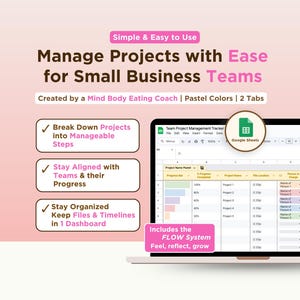 Project Management Google Sheets for Teams Project Planner Simple Small Business Project Breakdown Project To Do List Template Spreadsheet
