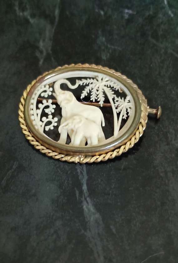 Depose brooch hot sale