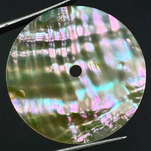 May include: A circular abalone shell button featuring a natural iridescent finish with swirling patterns of green, pink, and blue hues. The button has a single centered hole and is held by metal tweezers, displaying a smooth, polished surface.