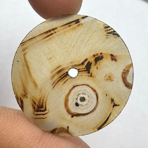 Watch Dial Dendritic Agate: 27.50mm Round Custom Watch Dial, ShajarAgate Watch Dial