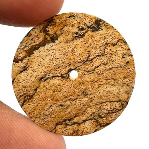 Peut inclure: Un pendentif en pierre plat et circulaire présentant une couleur de base beige et bronzée avec des motifs dendritiques brun foncé complexes ressemblant à des veines ramifiées ou à des formations arborescentes, et un petit trou central.