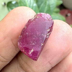 Könnte beinhalten: Ein roher, ungeschliffener Rubin-Edelstein, der eine tiefmagentafarbene Farbe mit einer leicht rauen, strukturierten Oberfläche aufweist. Der Rubin wird in einer Hand gehalten und zeigt seine natürliche, unregelmäßige Form und Kristallstruktur.
