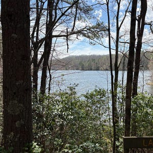 North Carolina nature