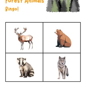 Forest animals Bingo