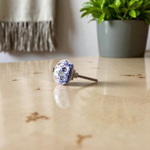 May include: A decorative ceramic cabinet knob with a white base, blue and red floral patterns, and a metal screw. The knob is on a light-colored surface, with a plant in a gray pot in the background.