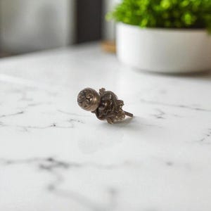 May include: A bronze-colored cabinet knob with ornate detailing. The knob features a round face with a decorative pattern and a detailed backplate. The hardware is designed for furniture and adds a vintage touch.