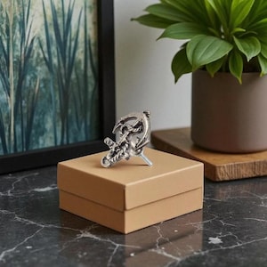 May include: A silver-colored anchor-shaped object with rope detailing, resting on a small, tan box. The anchor is the focal point, with a plant and framed artwork in the background. The box is on a dark, patterned surface.