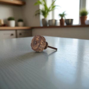 May include: A rustic wooden cabinet knob with a natural, textured appearance. The knob is circular with a visible grain pattern and a metal screw for attachment. The color is a mix of brown and tan, suggesting a natural wood finish.