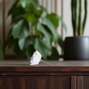 May include: A white, flower-shaped cabinet knob with a silver stem rests on a dark brown wooden surface. The knob is in focus, with a blurred background featuring green plants and a black pot.