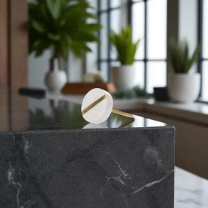 May include: A white cabinet knob with a gold stripe and a gold stem. The knob is oval-shaped and sits on a dark countertop. The background includes plants in white pots and a window.