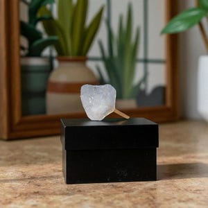May include: A light blue, heart-shaped crystal on a wooden stick, resting on a small black box. The crystal has a translucent appearance. The background includes a framed picture and potted plants.